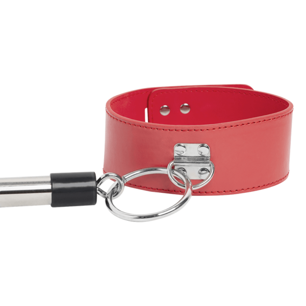 Collar Dominación Swing - Image 6
