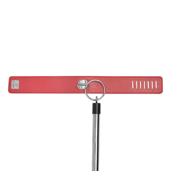 Collar Dominación Swing - Image 7