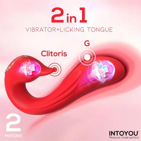 Vibrador Cisnes - Image 2